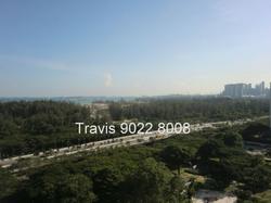 The Belvedere (D15), Condominium #63478012